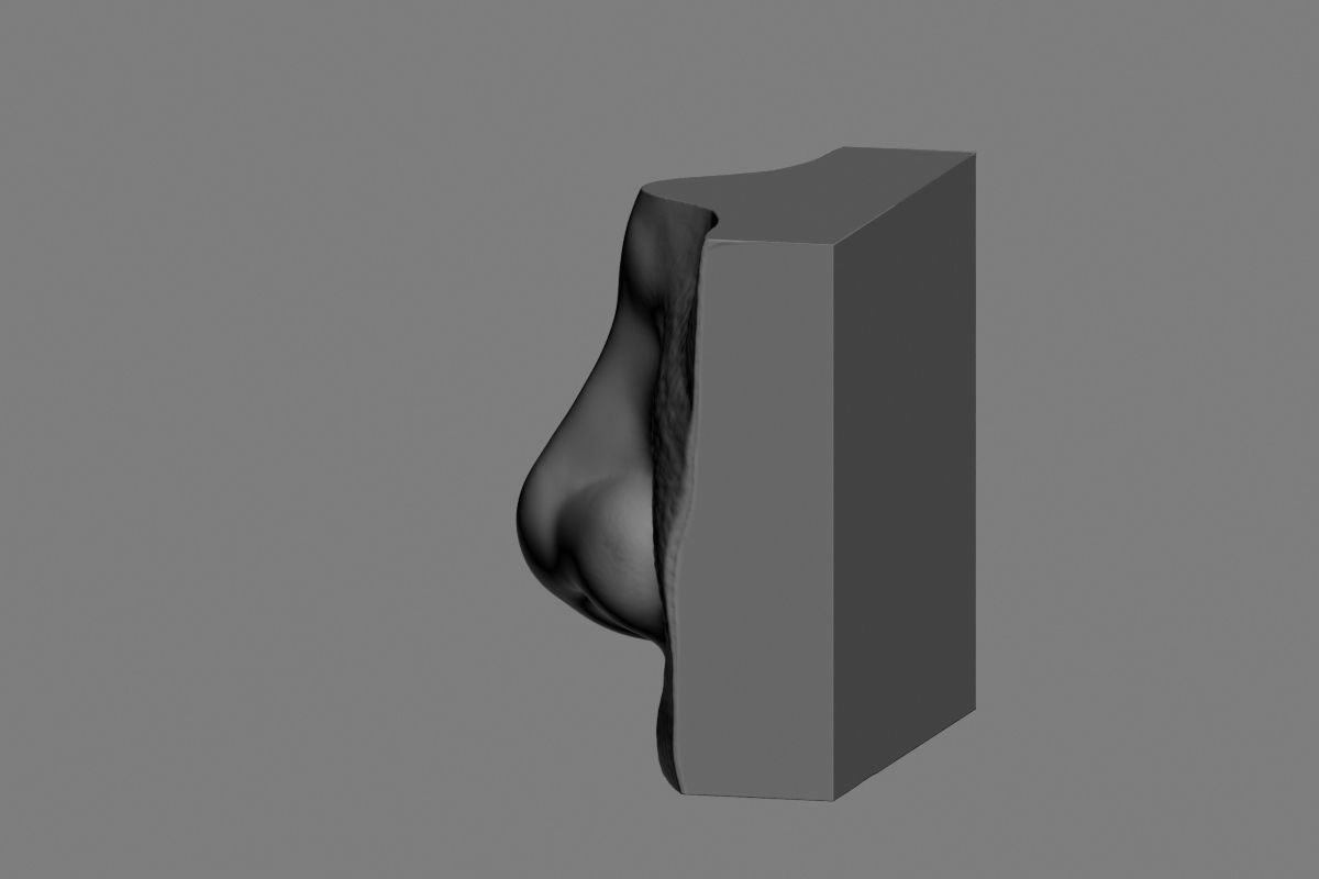 nose low poly and high poly  Low-poly 3D model_28