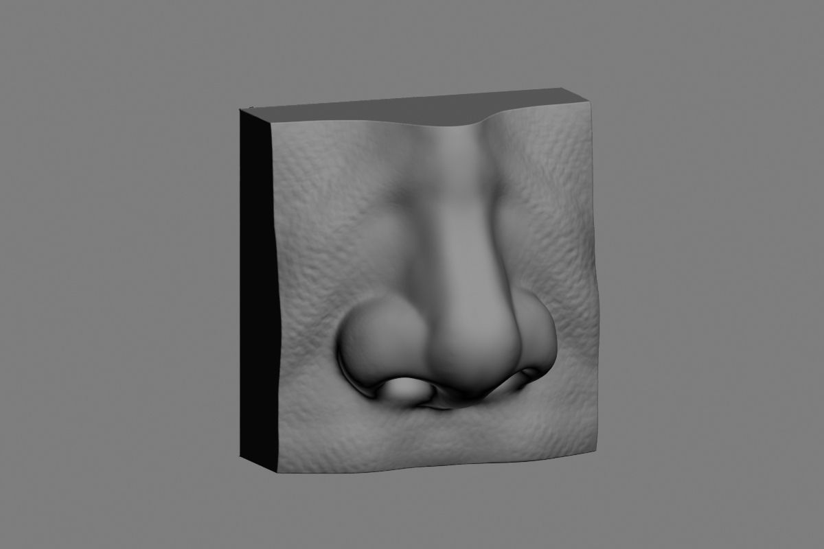 nose low poly and high poly  Low-poly 3D model_16