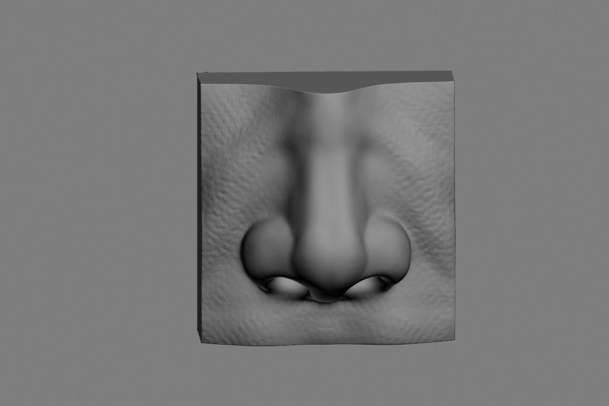 nose low poly and high poly  Low-poly 3D model_50