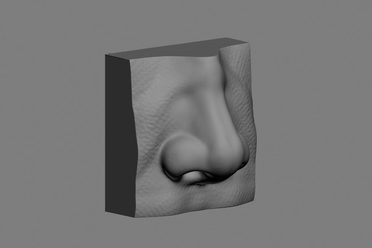 nose low poly and high poly  Low-poly 3D model_54