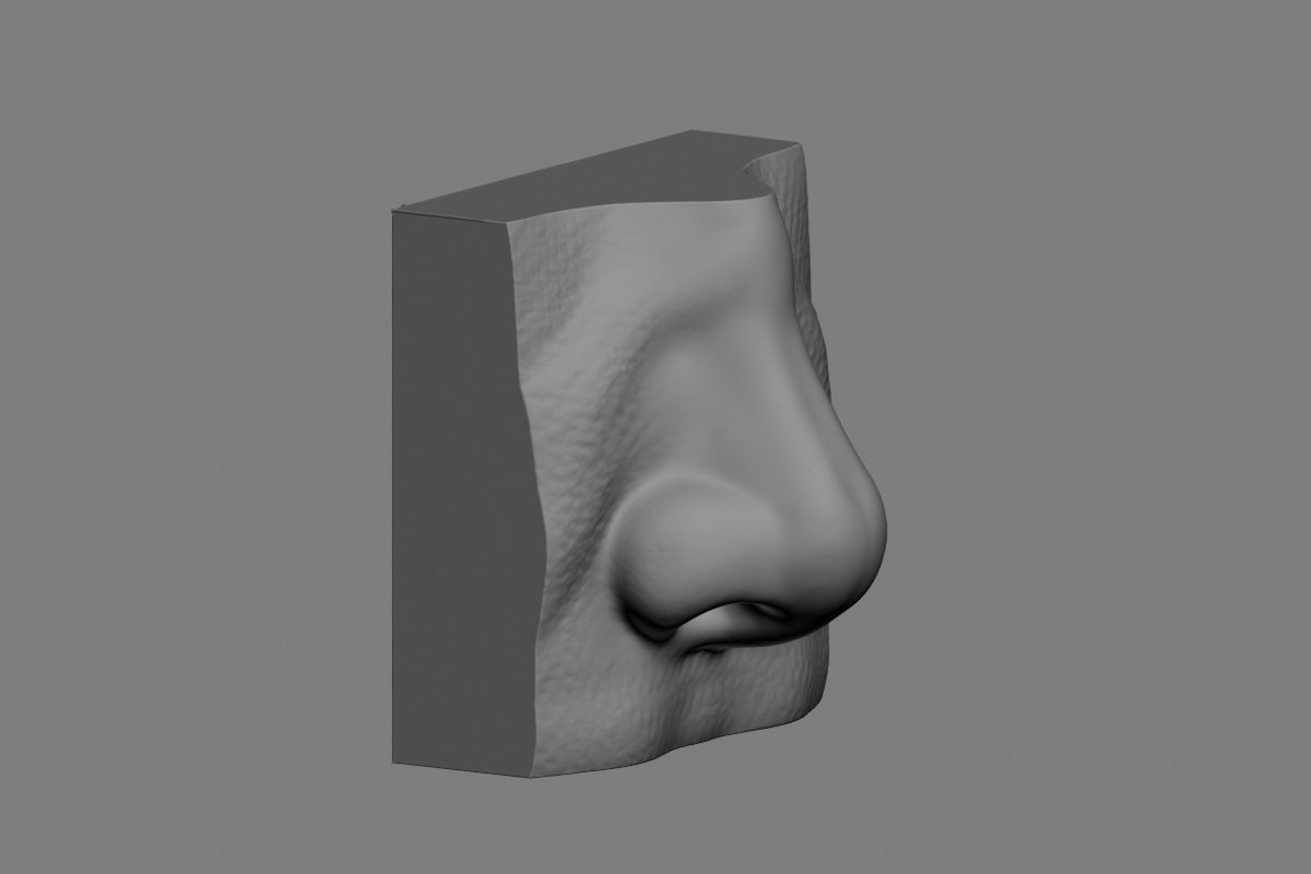 nose low poly and high poly  Low-poly 3D model_37