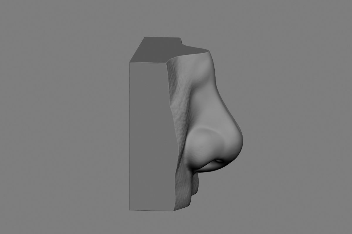 nose low poly and high poly  Low-poly 3D model_51