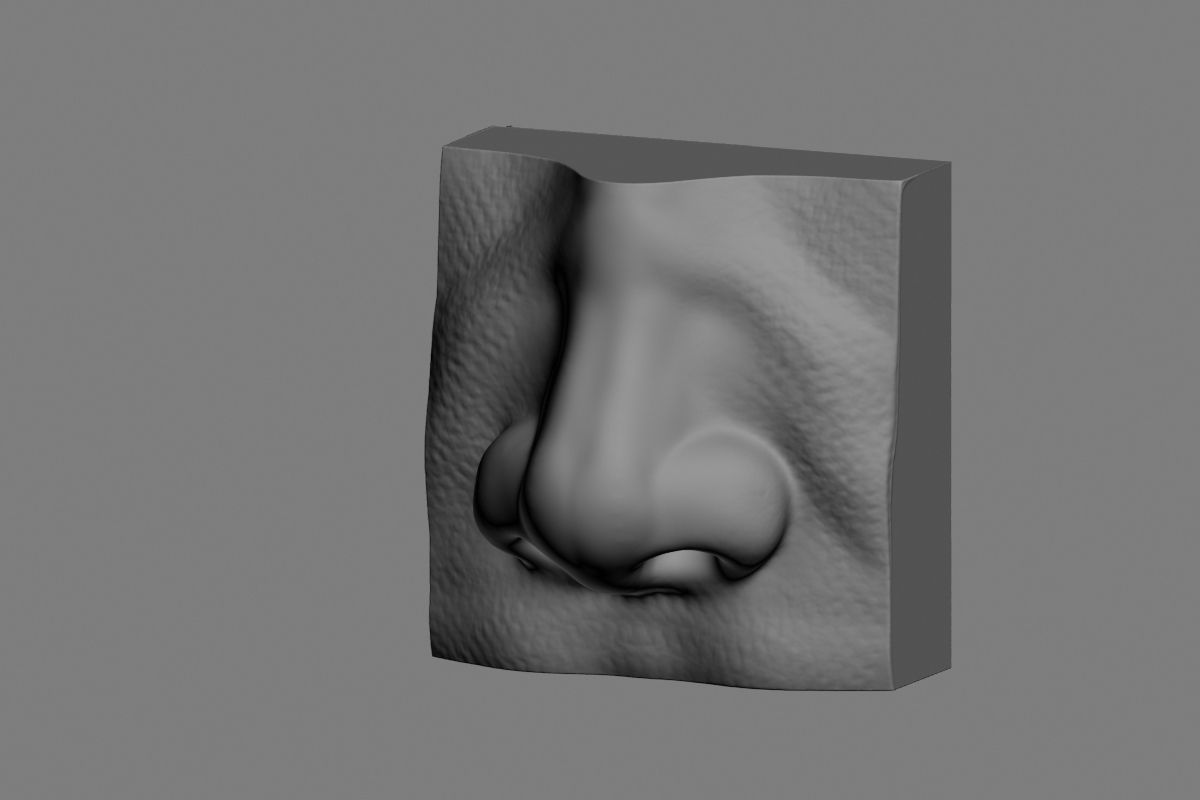 nose low poly and high poly  Low-poly 3D model_47