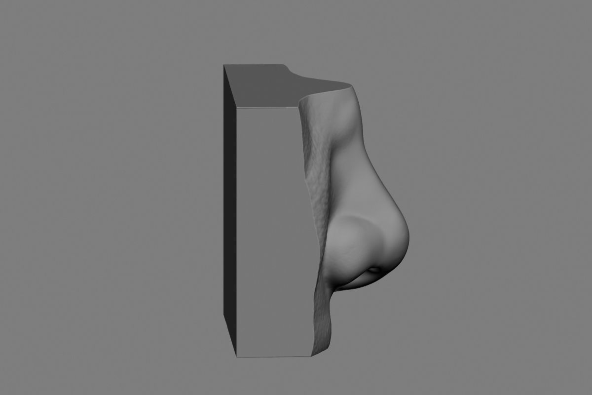 nose low poly and high poly  Low-poly 3D model_18