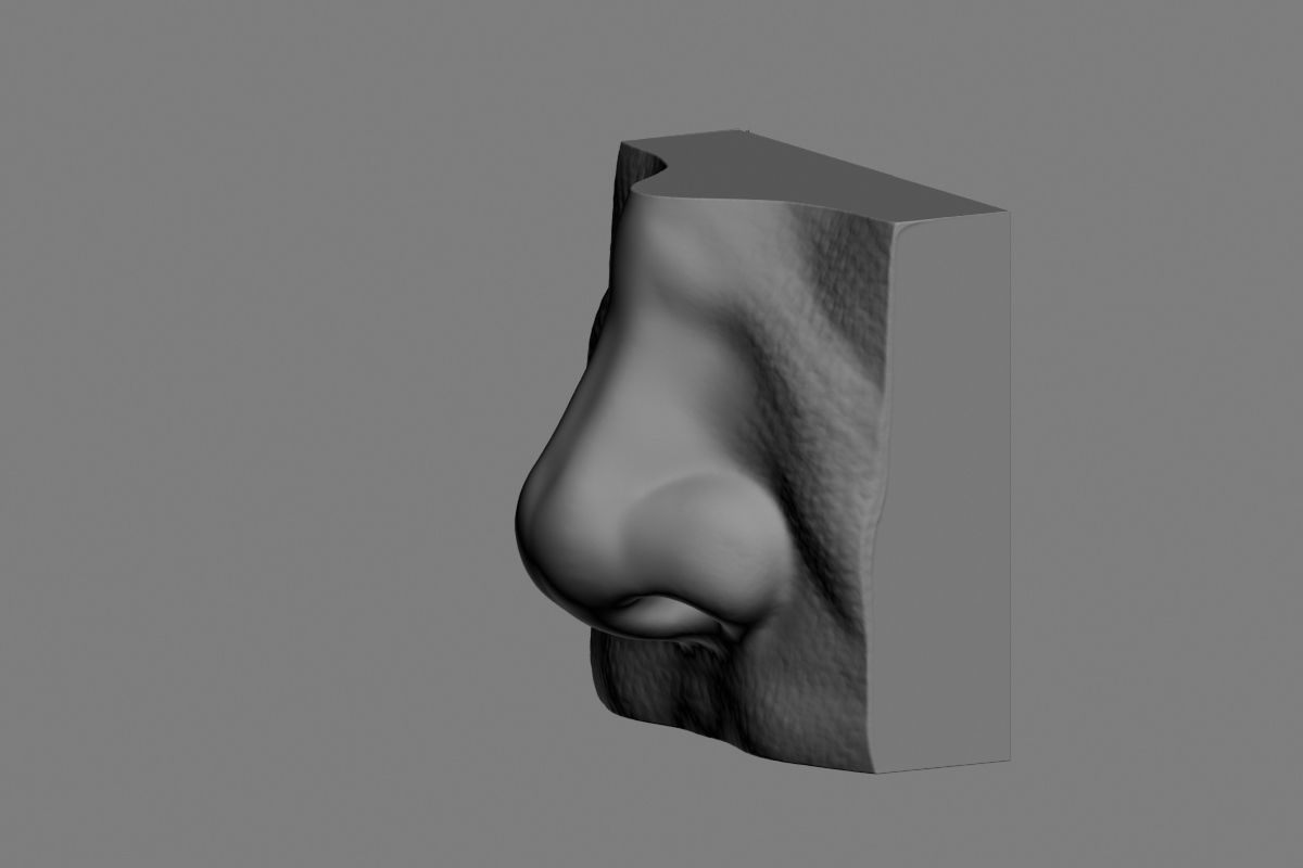 nose low poly and high poly  Low-poly 3D model_25