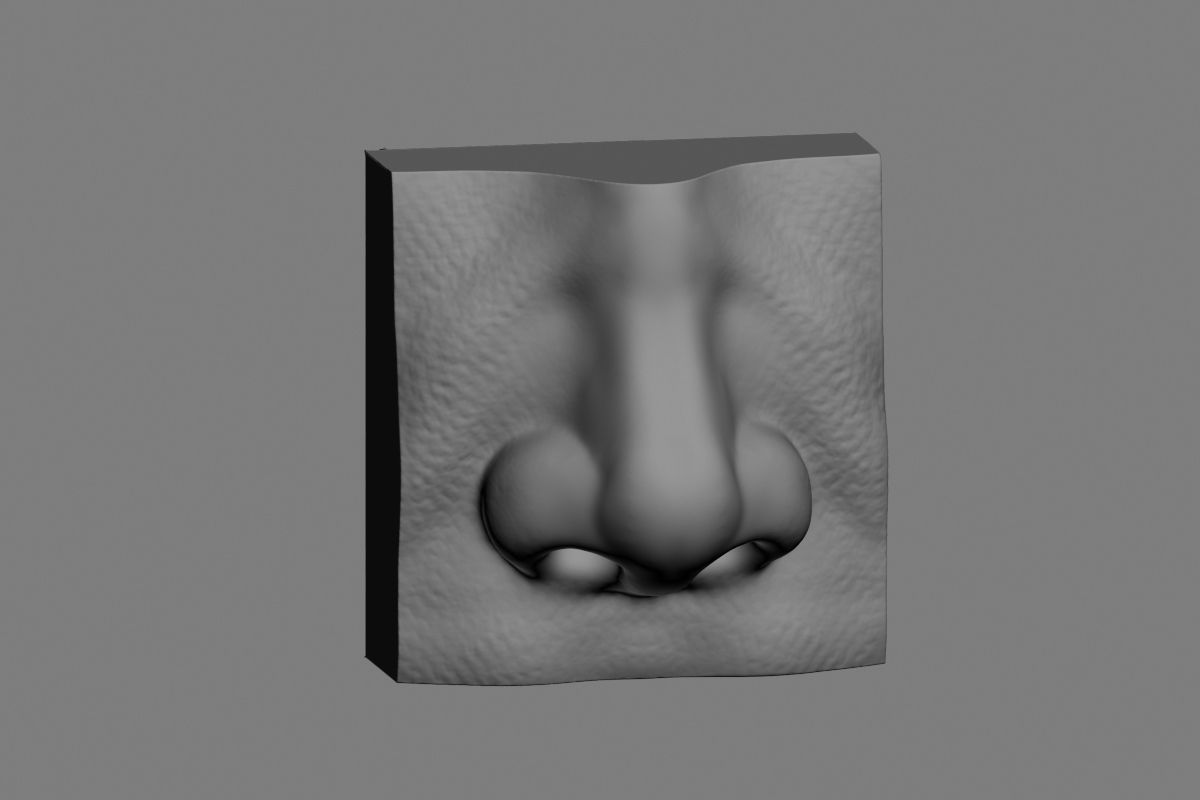 nose low poly and high poly  Low-poly 3D model_26