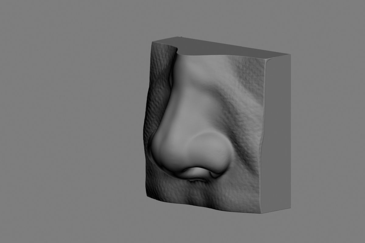 nose low poly and high poly  Low-poly 3D model_24