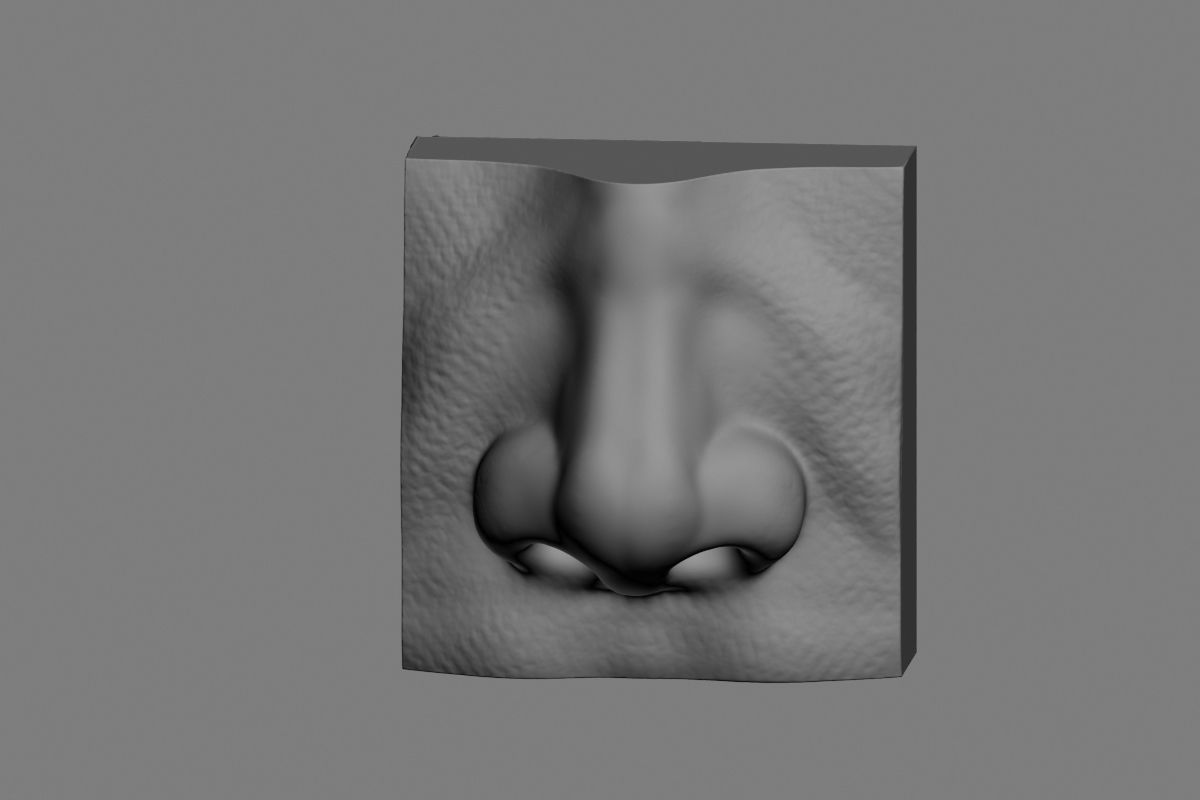 nose low poly and high poly  Low-poly 3D model_41