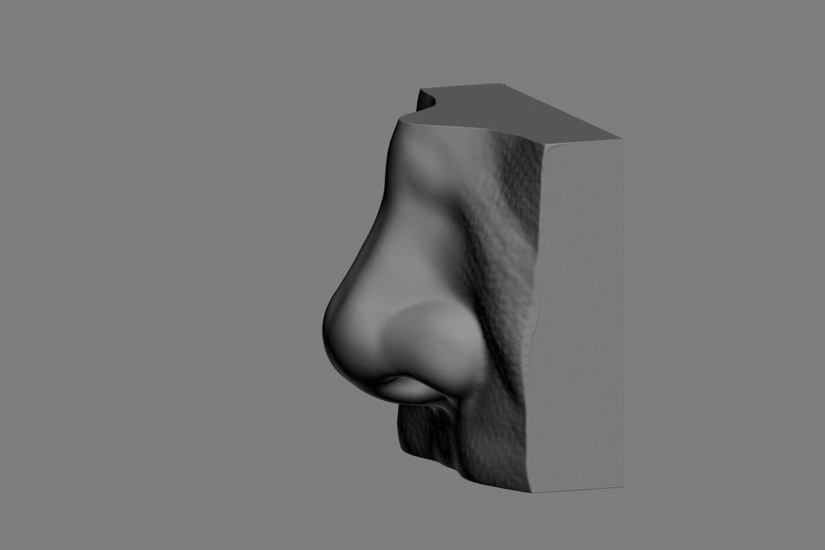 nose low poly and high poly  Low-poly 3D model_44