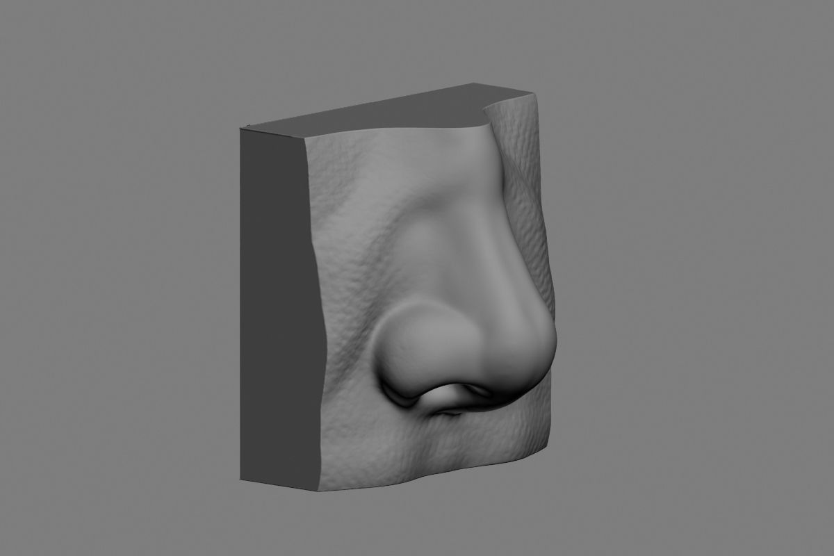 nose low poly and high poly  Low-poly 3D model_27