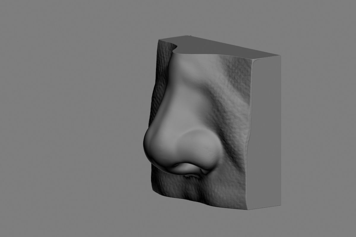 nose low poly and high poly  Low-poly 3D model_46