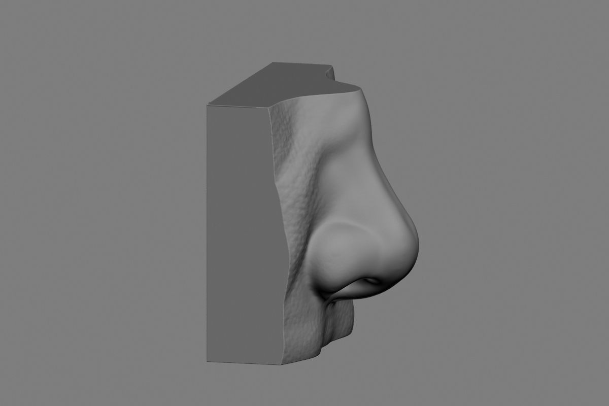 nose low poly and high poly  Low-poly 3D model_34