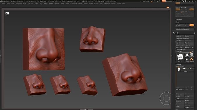 nose low poly and high poly  Low-poly 3D model