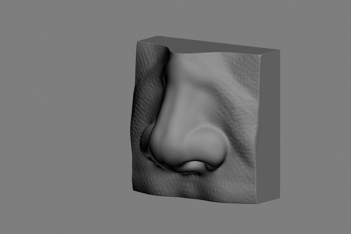 nose low poly and high poly  Low-poly 3D model_42