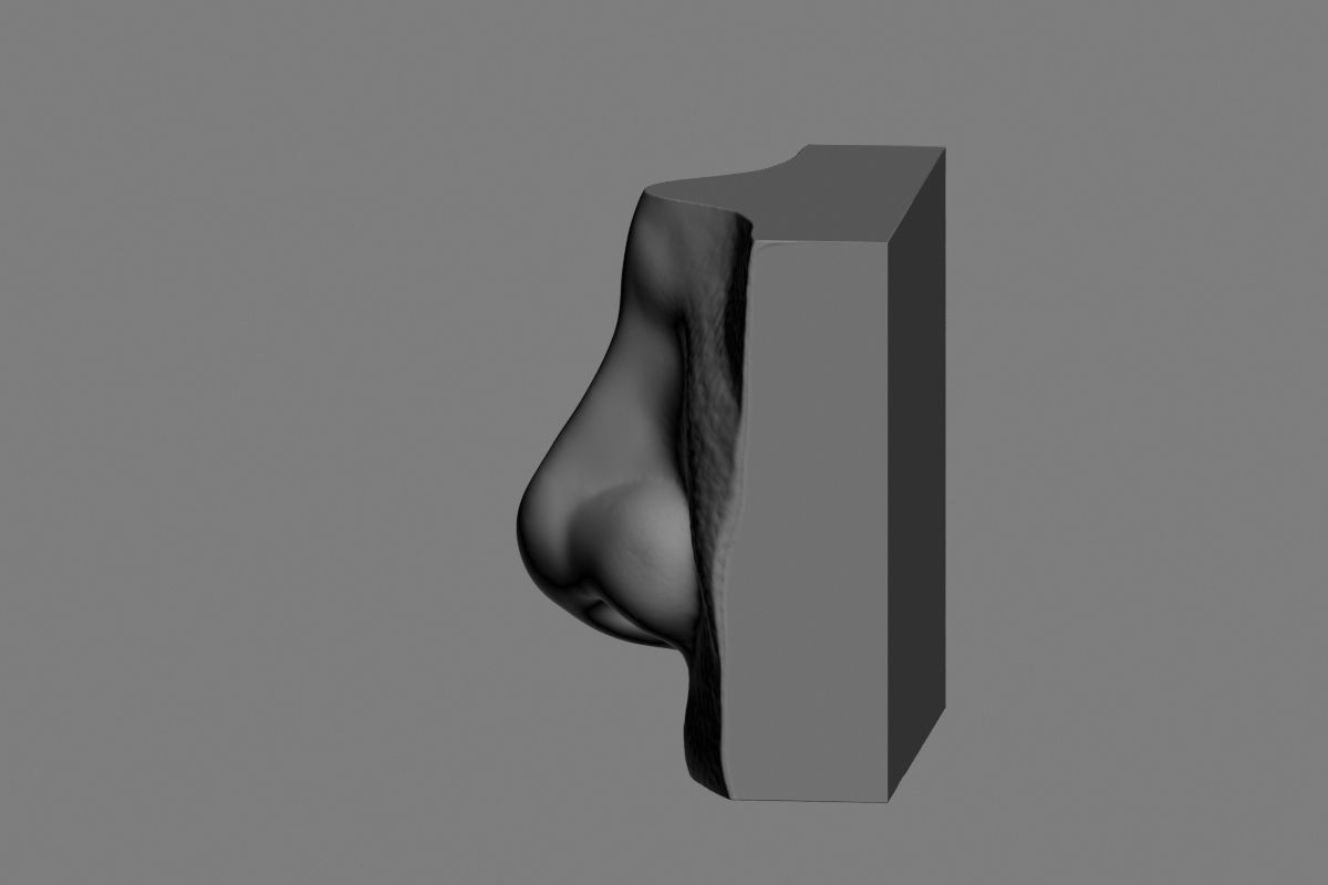 nose low poly and high poly  Low-poly 3D model_45