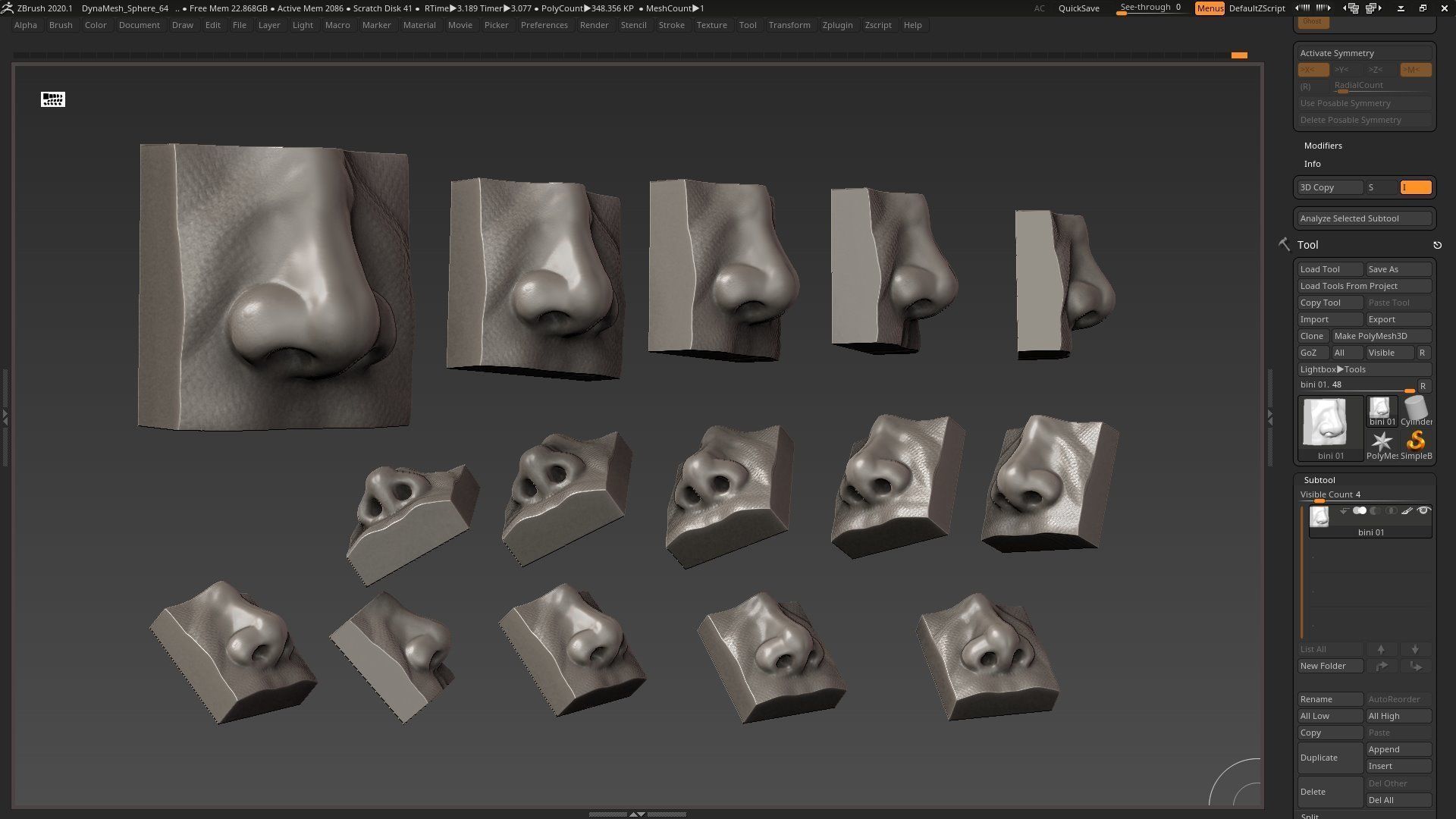 nose low poly and high poly  Low-poly 3D model_1