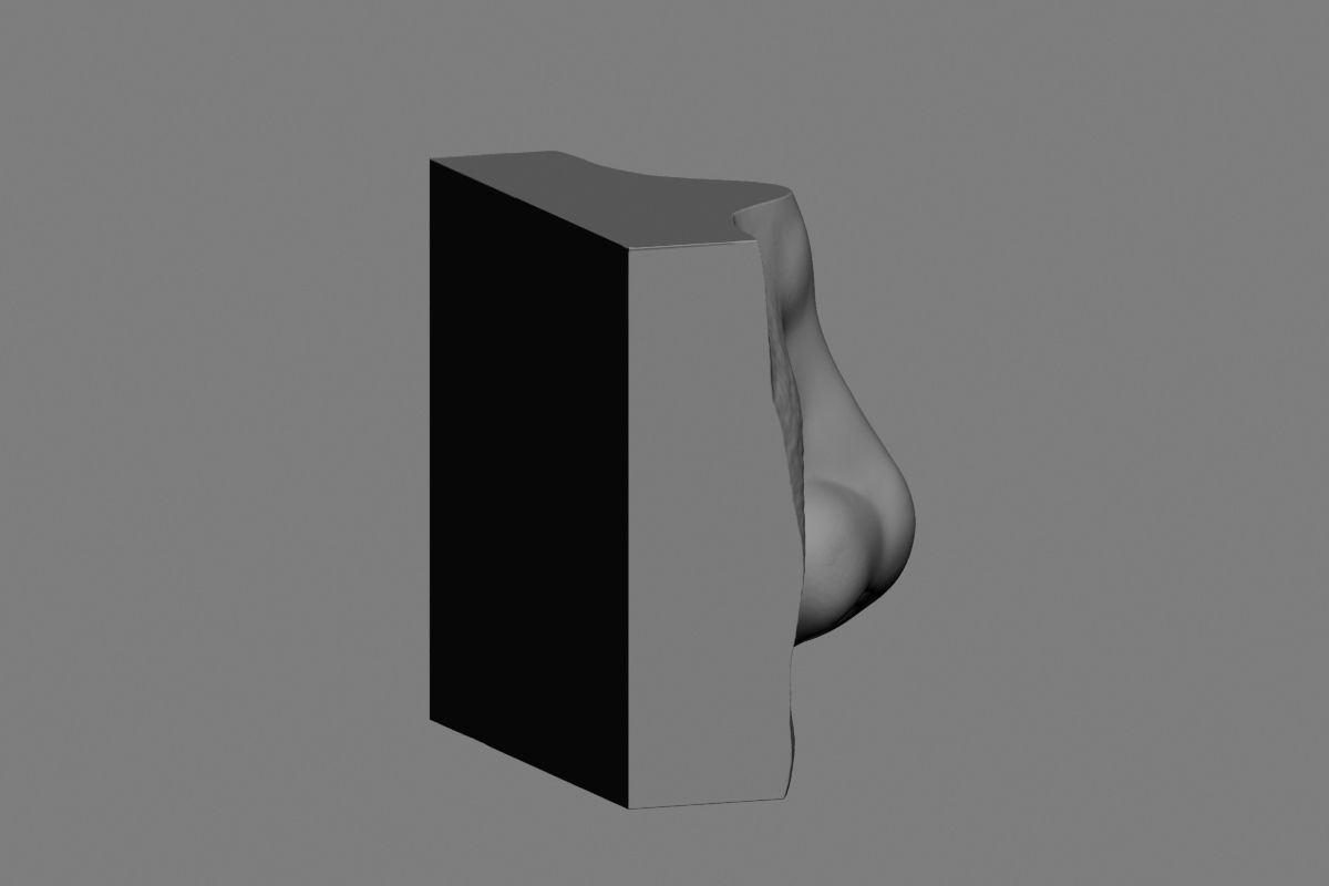 nose low poly and high poly  Low-poly 3D model_55