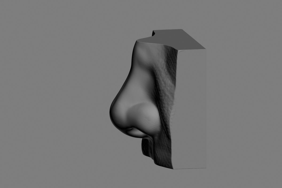 nose low poly and high poly  Low-poly 3D model_40