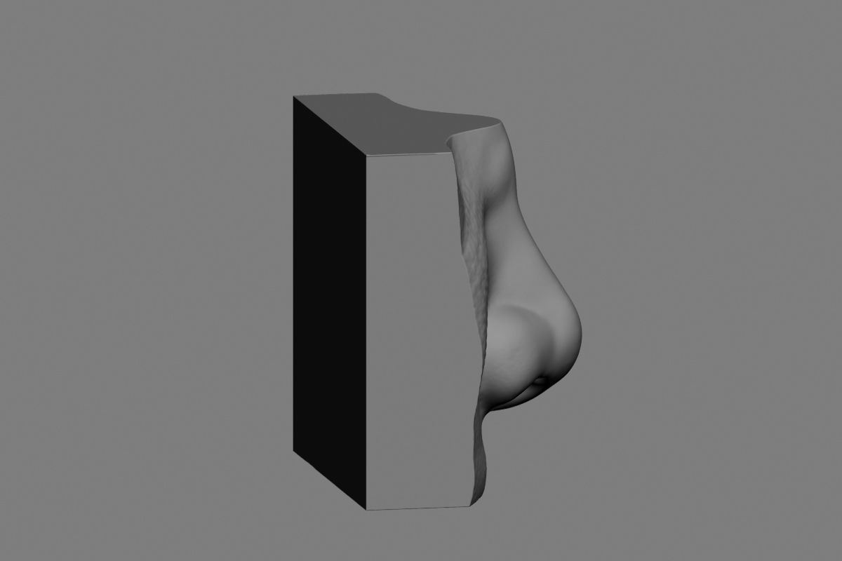 nose low poly and high poly  Low-poly 3D model_32