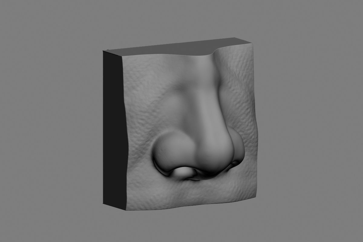 nose low poly and high poly  Low-poly 3D model_15