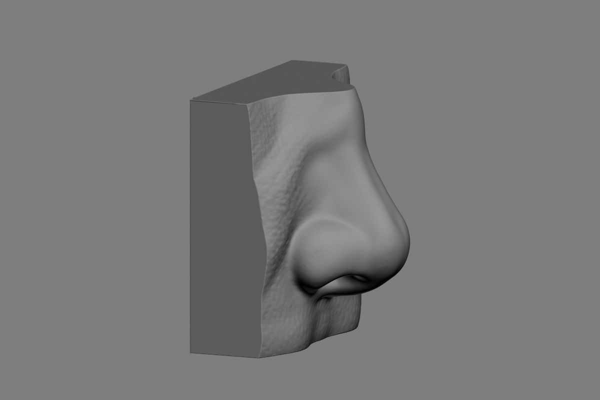 nose low poly and high poly  Low-poly 3D model_22