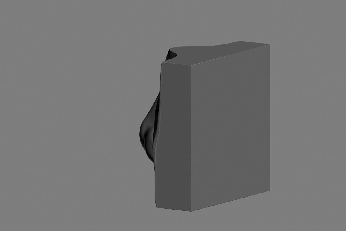 nose low poly and high poly  Low-poly 3D model_35