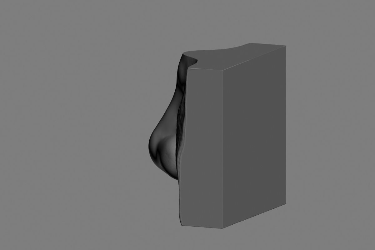 nose low poly and high poly  Low-poly 3D model_52