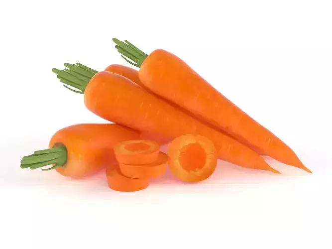 Carrot 3D model