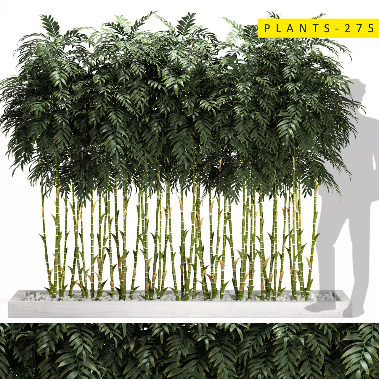 plants 275 3D model
