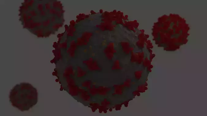 Coronavirus group of coronaviruses