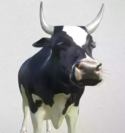 cow high-poly with long horns