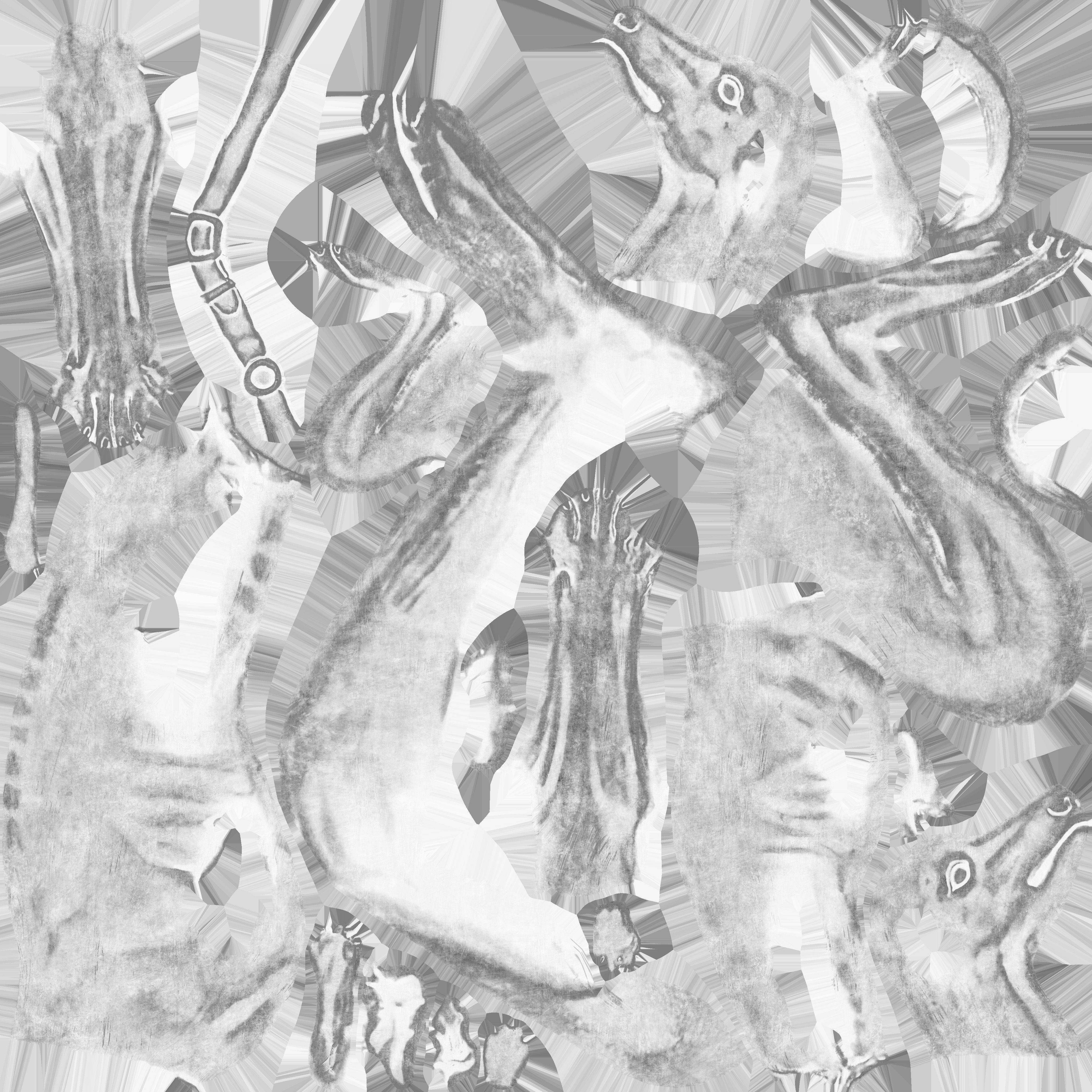 Roberto Giovannini Gray Hound LowPoly PBR Low-poly 3D model_9