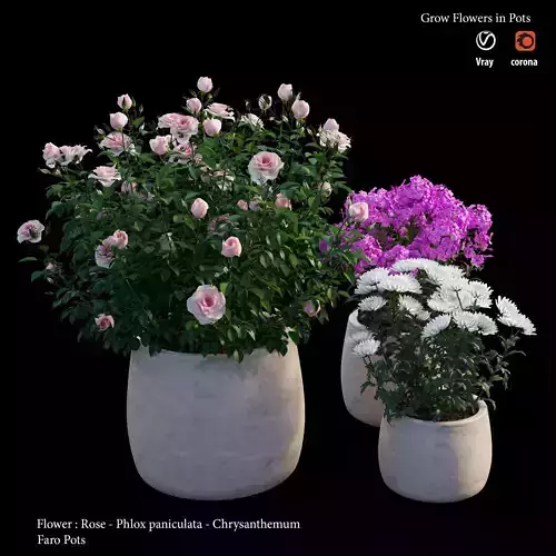 Grow Flowers in pots 3D model