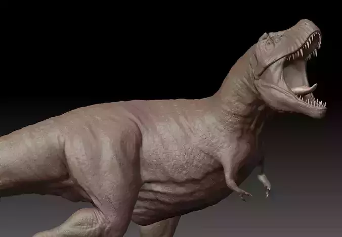 tyrannosaurus T REX 3D print model 3D print model