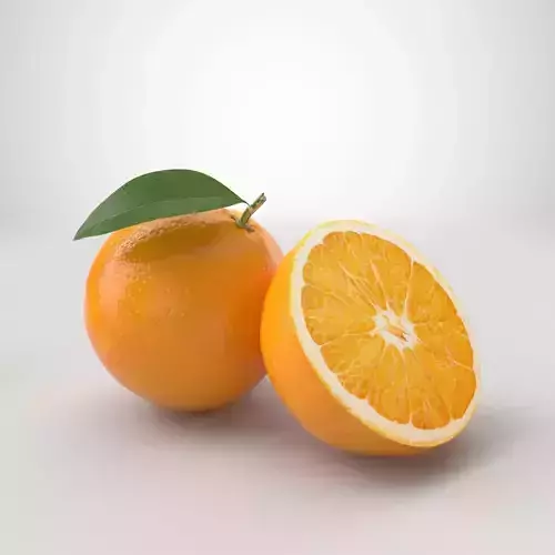 Orange two oranges 3D model