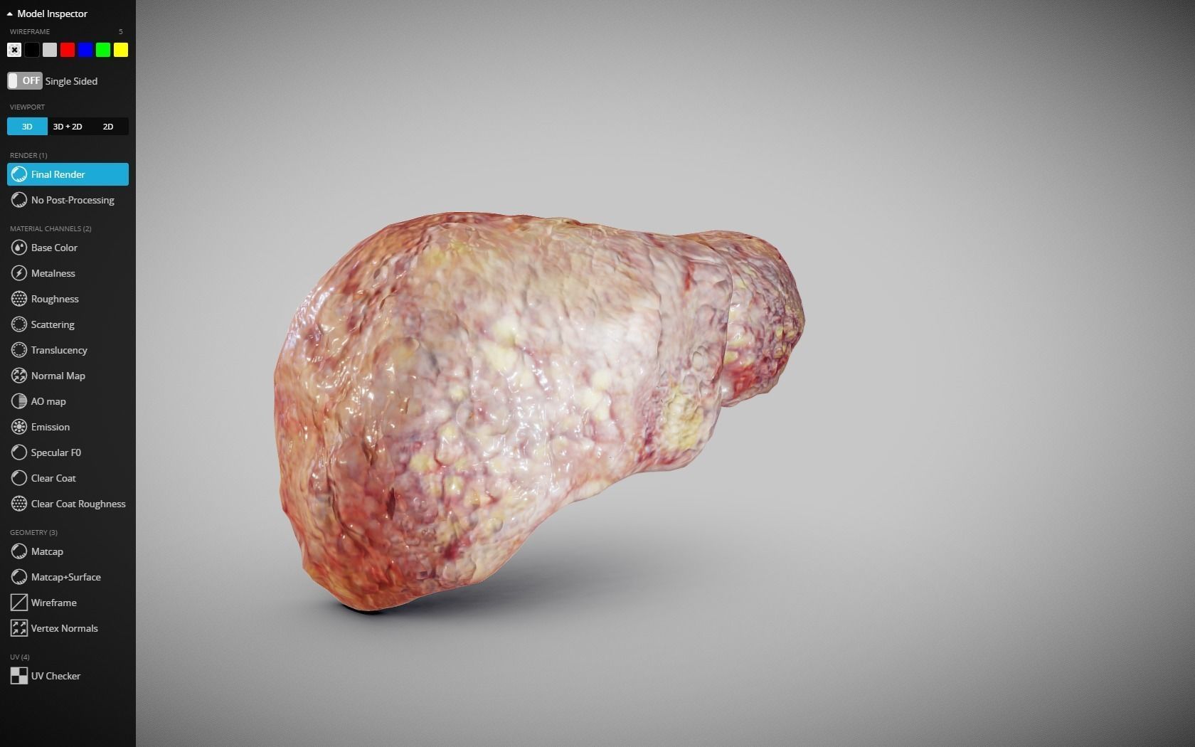 Fatty Liver Low-poly 3D model_21