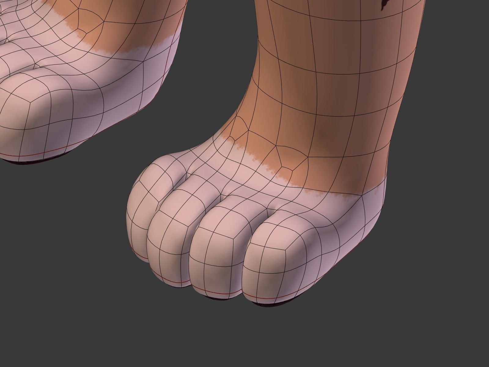 Cartoon Tiger 3D model_28