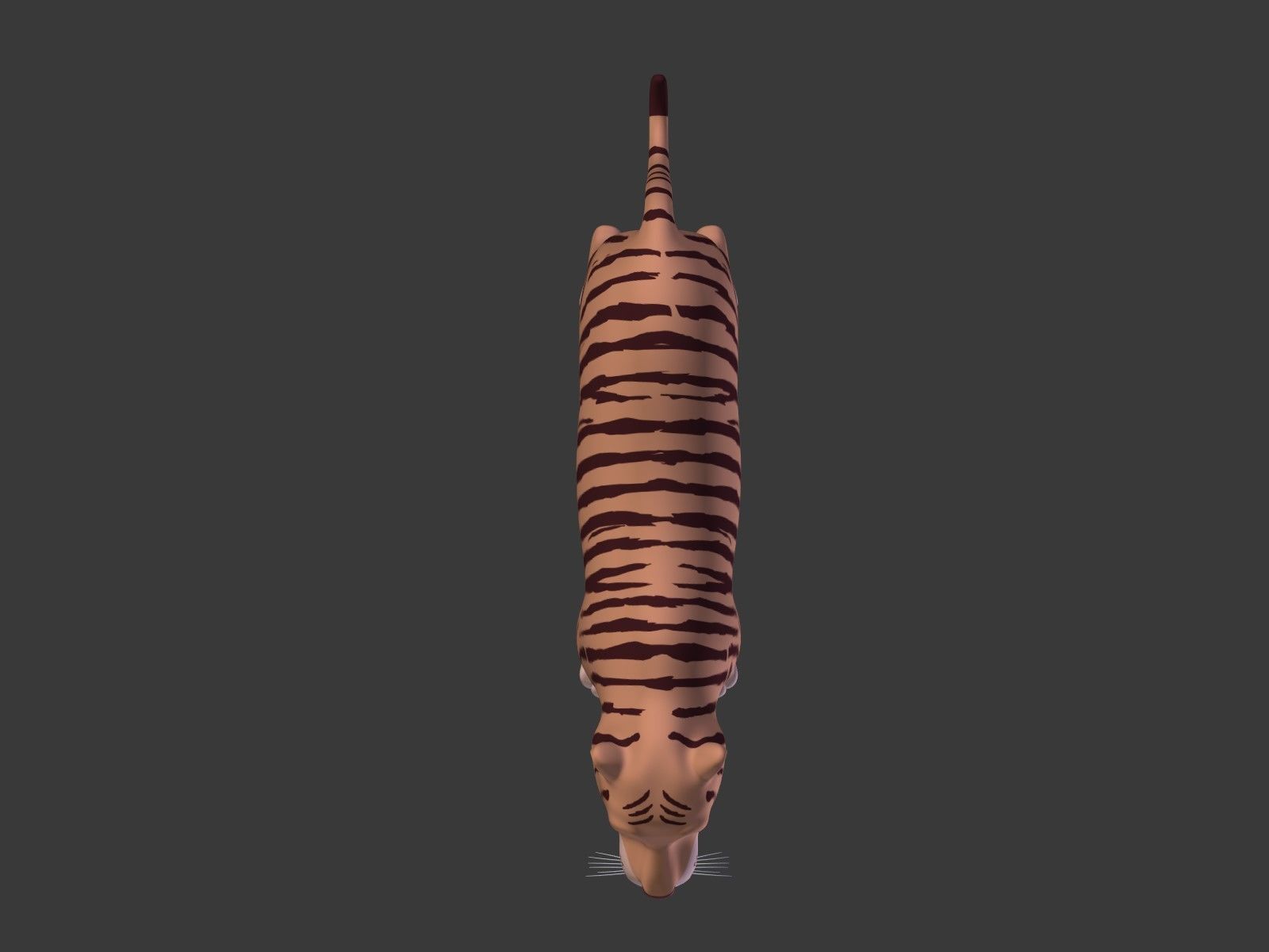 Cartoon Tiger 3D model_16