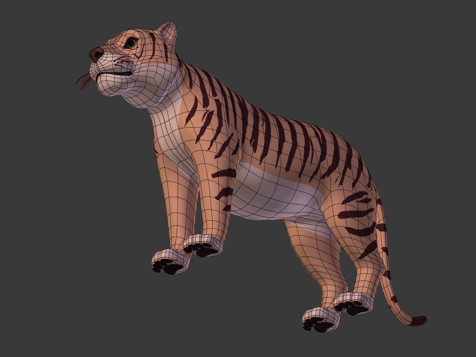Cartoon Tiger 3D model_21