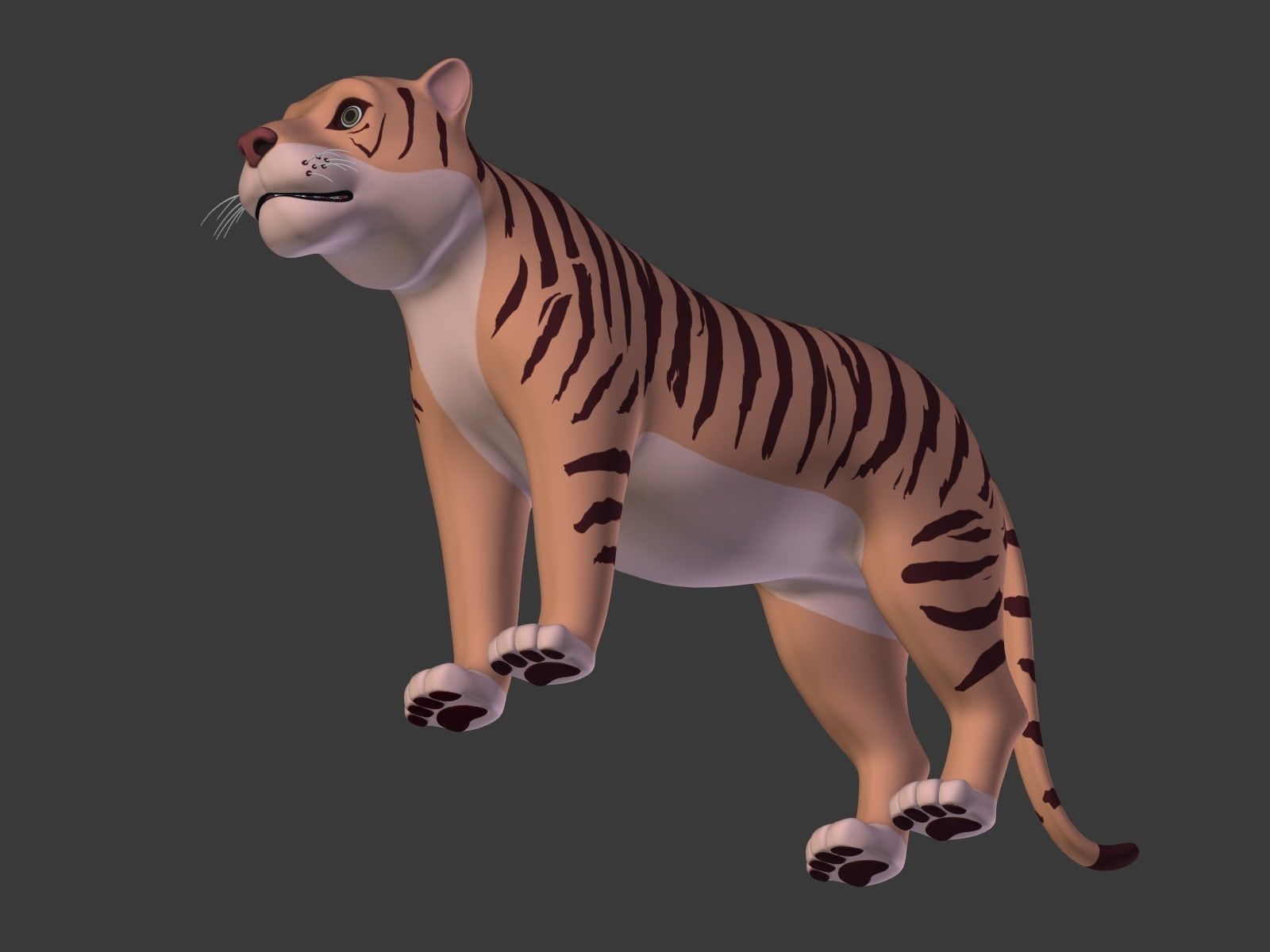 Cartoon Tiger 3D model_20