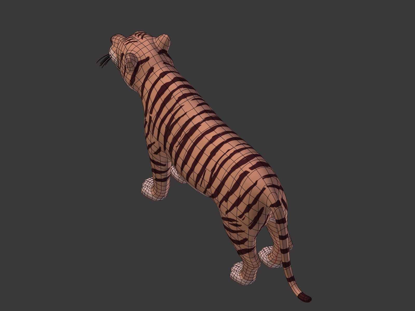 Cartoon Tiger 3D model_15