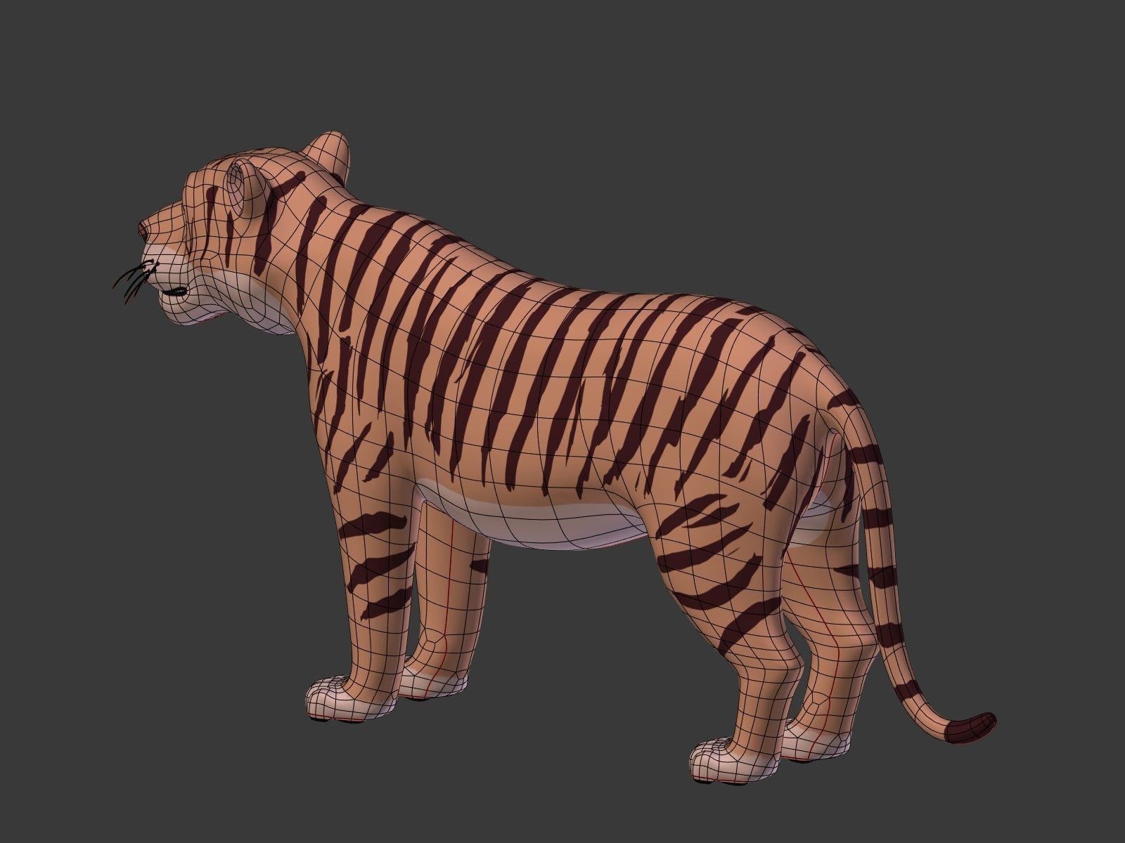Cartoon Tiger 3D model_13