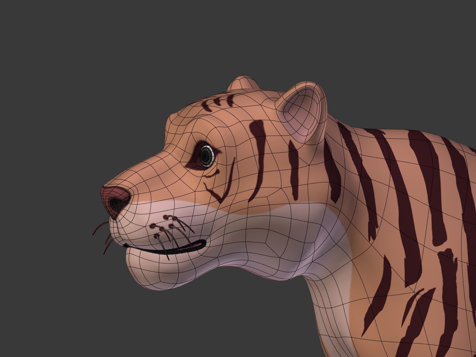 Cartoon Tiger 3D model_23