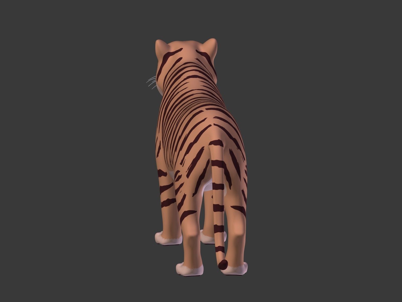 Cartoon Tiger 3D model_18