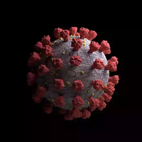 CORONAVIRUS COVID 19