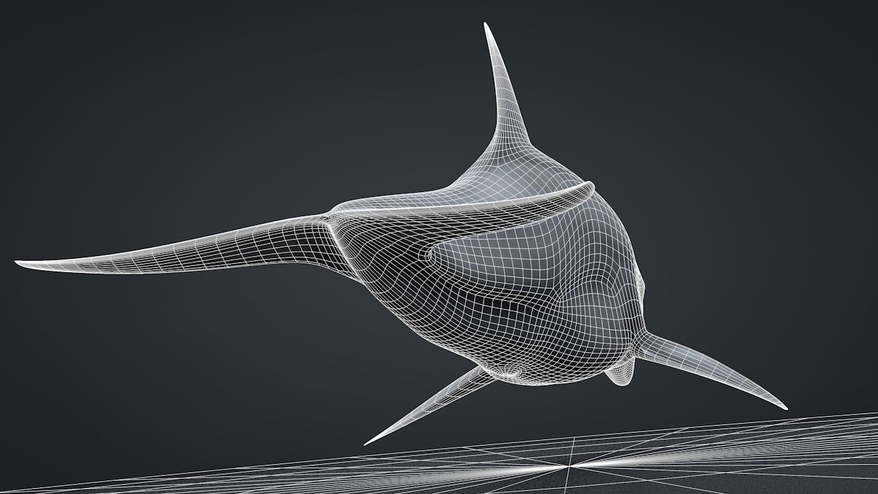 Bottlenose Dolphin Low-poly 3D model_37