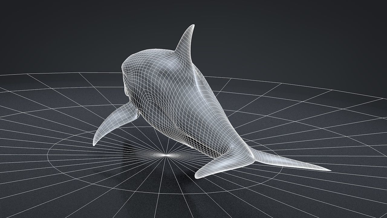 Bottlenose Dolphin Low-poly 3D model_33