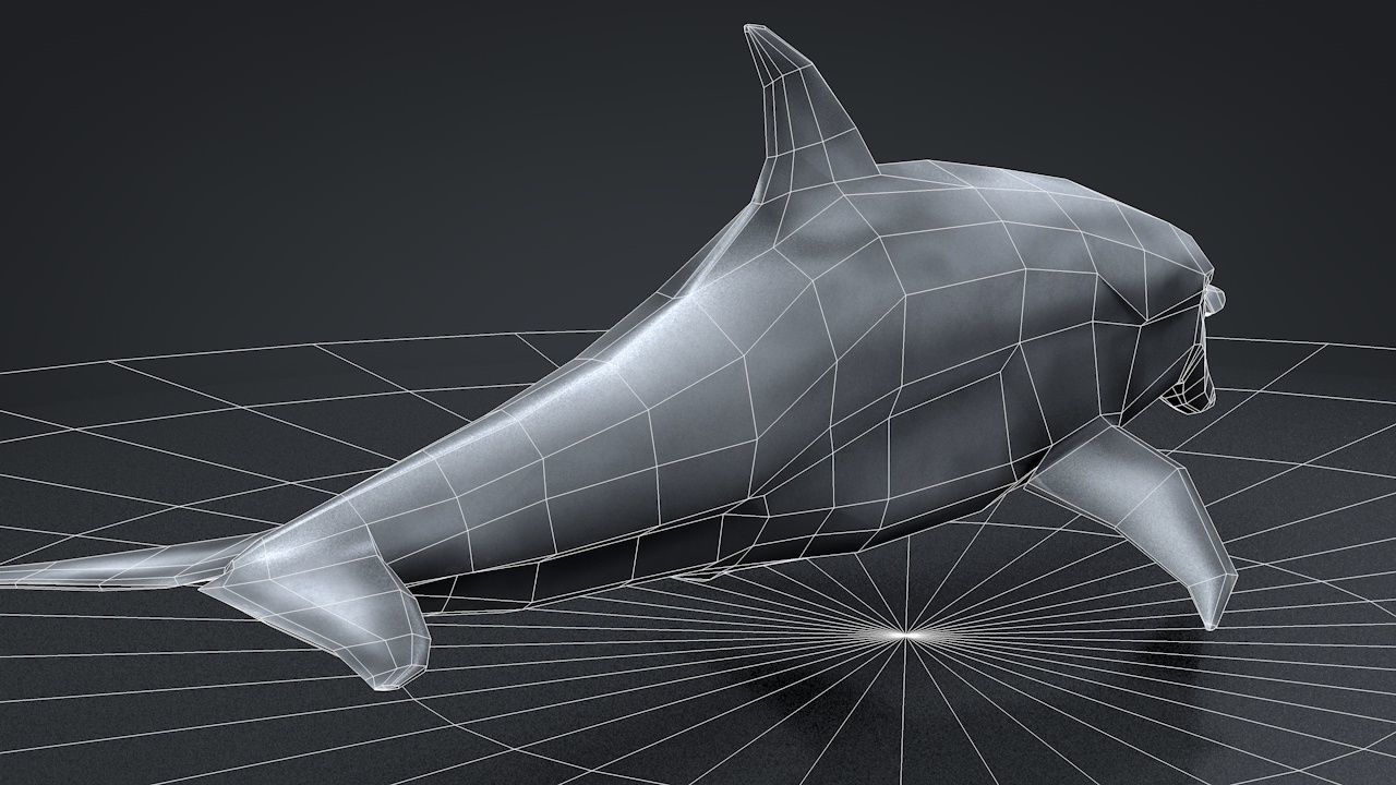 Bottlenose Dolphin Low-poly 3D model_45