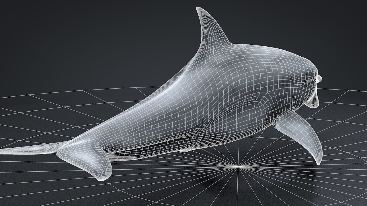 Bottlenose Dolphin Low-poly 3D model_32