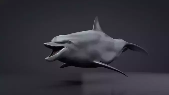 Bottlenose Dolphin Low-poly 3D model